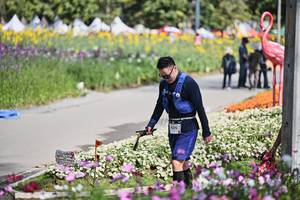 BIB: 
                            <button type="button" onclick="openModal(27794012)" class="btn btn-primary btn-sm float-right btn-popup" data-toggle="modal" data-target=".modal-high-quality">
                        <i class="fas fa-shopping-cart"></i> Add to Cart
                    </button>
                                            <button type="button" onclick="isThisMe(27794012, true)" class="btn btn-success btn-sm float-right btn-popup btn-isme hidden" data-toggle="tooltip" data-placement="bottom" title="นี่คือรูปของคุณใช่ไหม คลิกที่นี่เพื่อเอาเข้าอัลบั้ม">
                        <i class="fas fa-plus"></i> Add to album
                    </button>
                    <button type="button" onclick="isThisMe(27794012, false)" class="btn btn-warning btn-sm float-right btn-popup btn-isnotme hidden">
                        <i class="fas fa-ban"></i> Remove from album
                    </button>